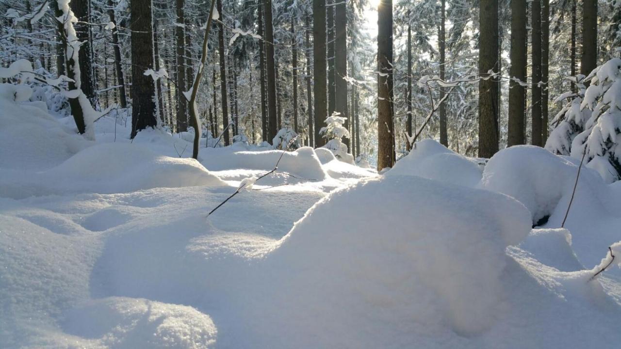 Im Erzgebirge Wandern, Fahrrad Fahren Oder Entspannen Ehrenfriedersdorf Kültér fotó